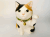 うちの招き猫（みけ）