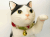 うちの招き猫（ぶち）