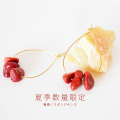 【夏季数量限定/送料無料】珊瑚（スポンジサンゴ）ティアドロップフープ