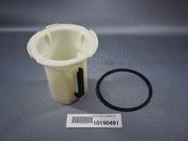 10190491.jpg