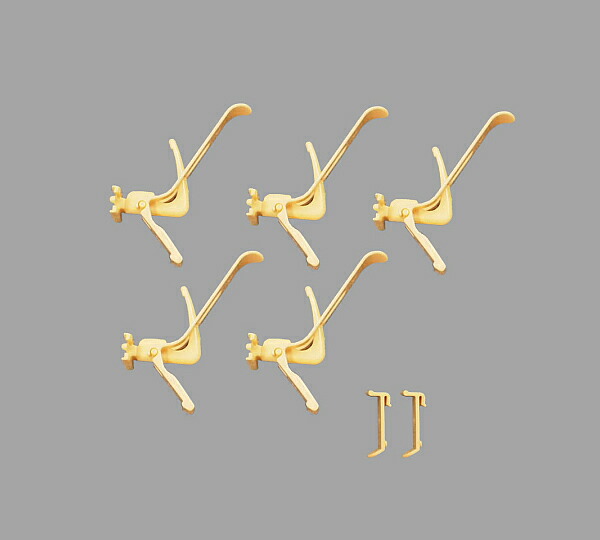 1369096.jpg