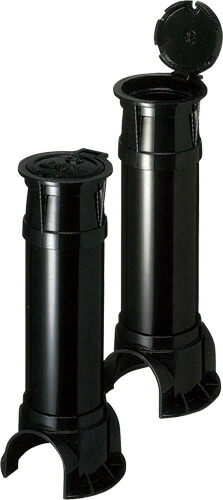 30992.jpg