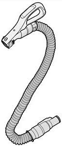 41450724.jpg