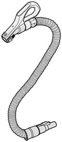41450748.jpg