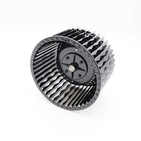 619k0033-cf.jpg