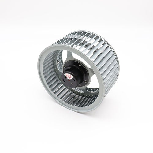619k0123-2.jpg