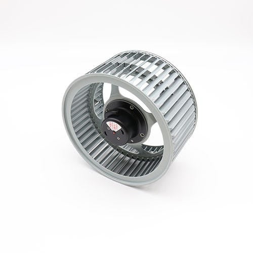 619k0123-a-cf.jpg