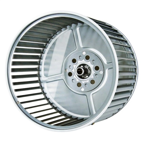 6s900225.jpg