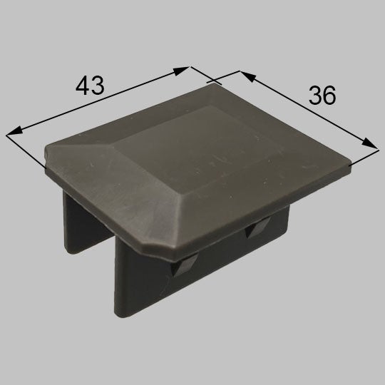 aan02020a.jpg