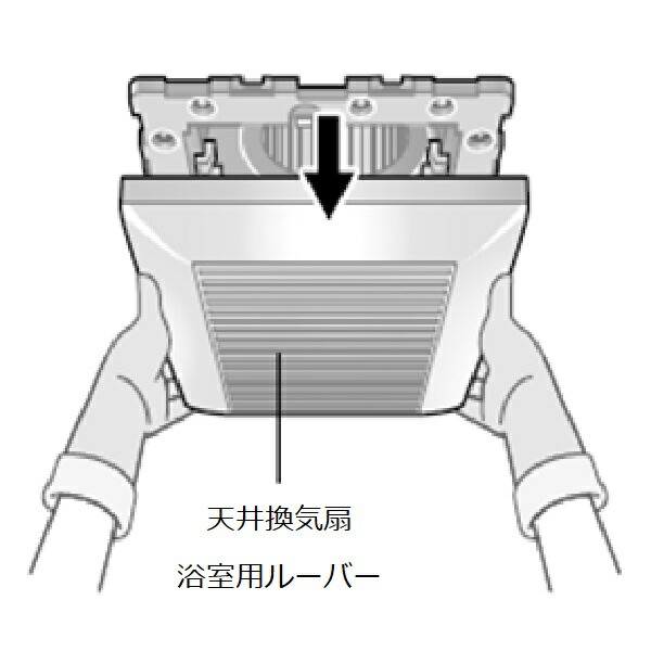 afkk00141.jpg
