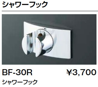 bf-30r.jpg