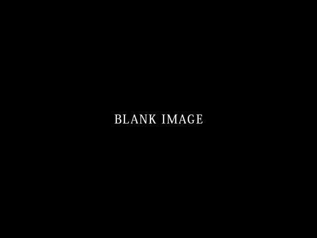 blank_mainimage.jpg