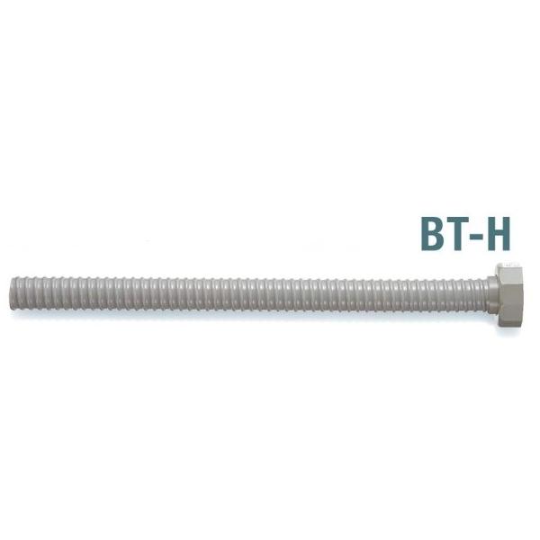 bt-h.jpg