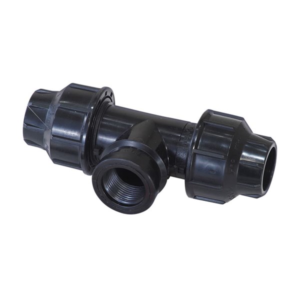 ec661-20x25a.jpg