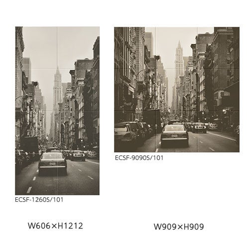 ecsf-xxxxs-101.jpg