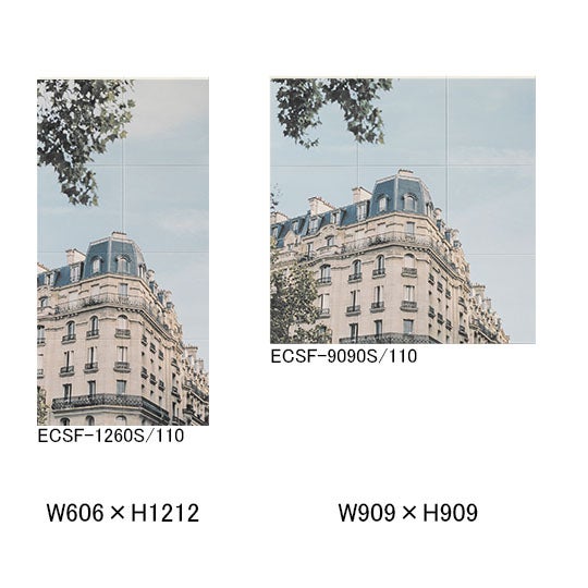 ecsf-xxxxs-110.jpg