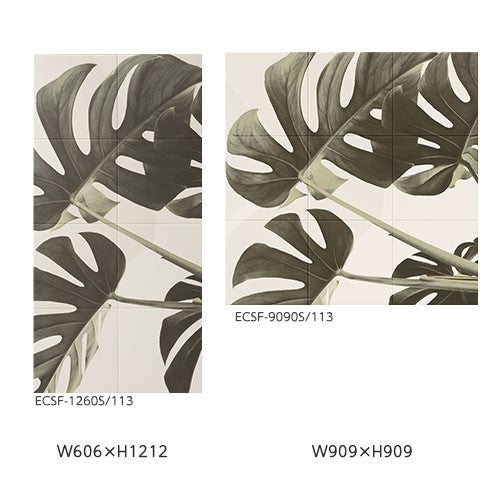 ecsf-xxxxs-113.jpg