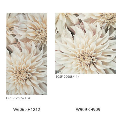 ecsf-xxxxs-114.jpg