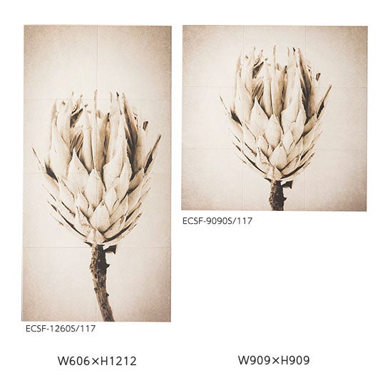 ecsf-xxxxs-117.jpg
