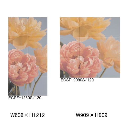 ecsf-xxxxs-120.jpg