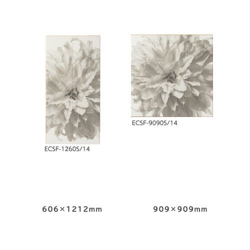 ecsf-xxxxs-14.jpg