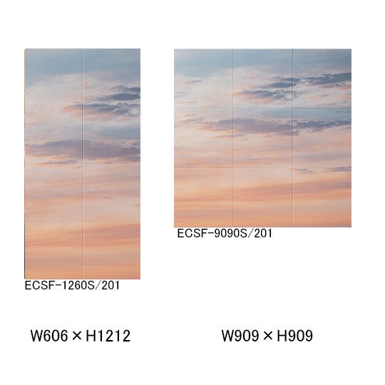ecsf-xxxxs-201.jpg