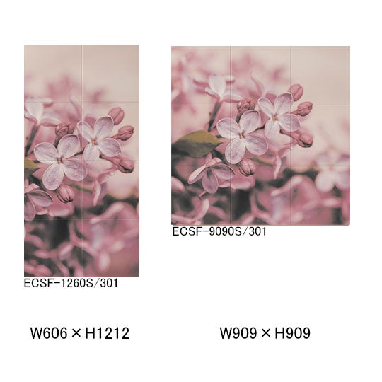 ecsf-xxxxs-301.jpg