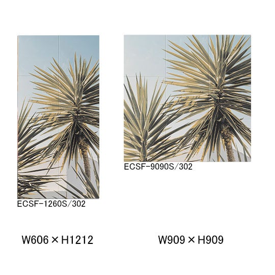 ecsf-xxxxs-302.jpg