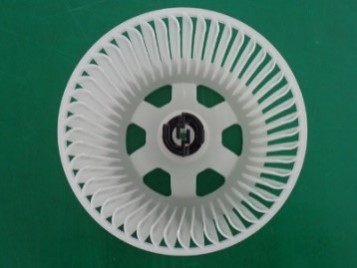 ffv2100591.jpg