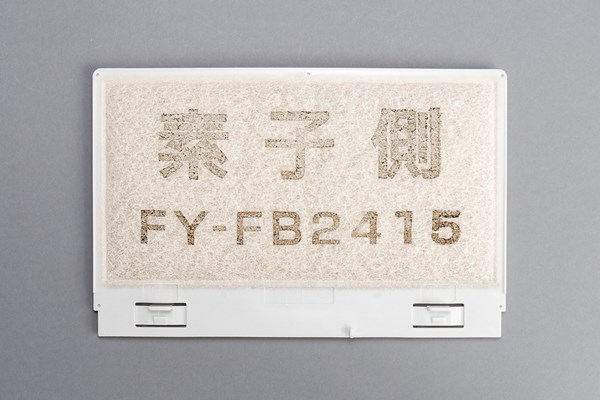 ffv2510173a.jpg