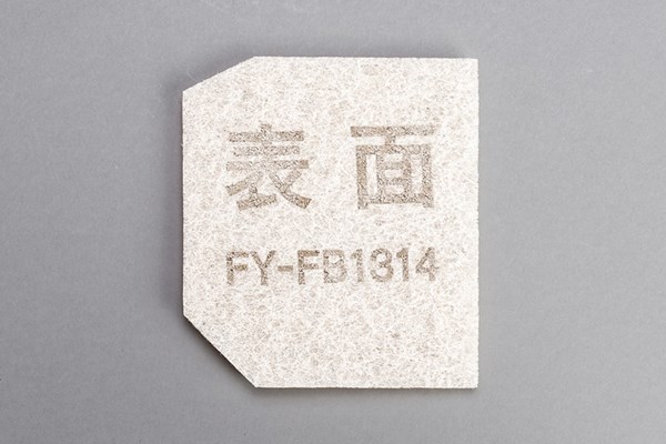 ffv2510222b.jpg