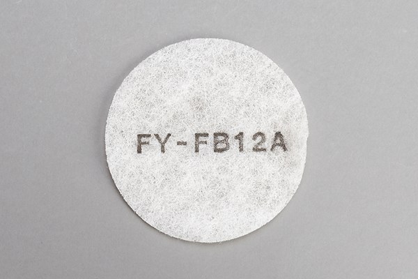 ffv2510258a.jpg