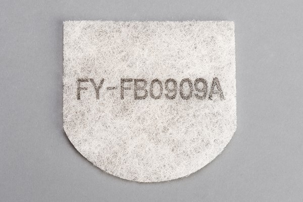 ffv2510304b.jpg