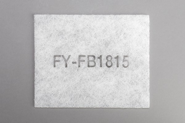 ffv2510309a.jpg