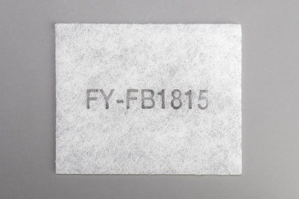 ffv2510309b.jpg