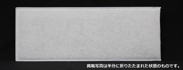 ffv251f145.jpg
