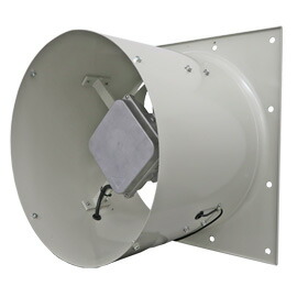 hg-dcd50.jpg