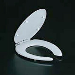inax-toilet-cf-56ae.jpg