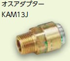 kam13j.jpg