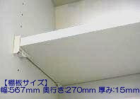 11035484.jpg