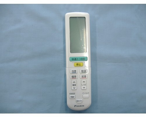 2319856.jpg