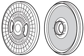 39242925.jpg