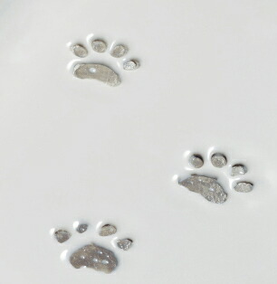 493-156_2.jpg