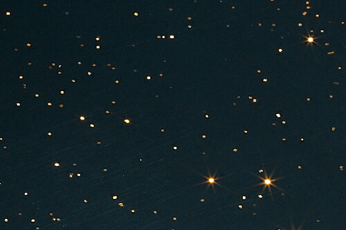 497-010-gd_1.jpg