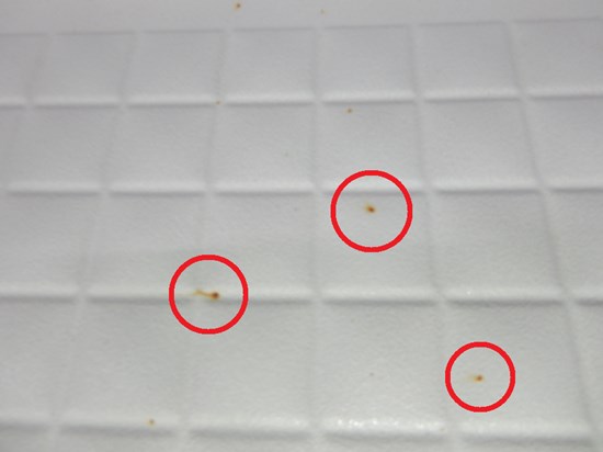 4972910344917_01.jpg