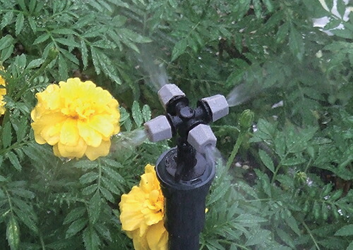 576-926_1.jpg