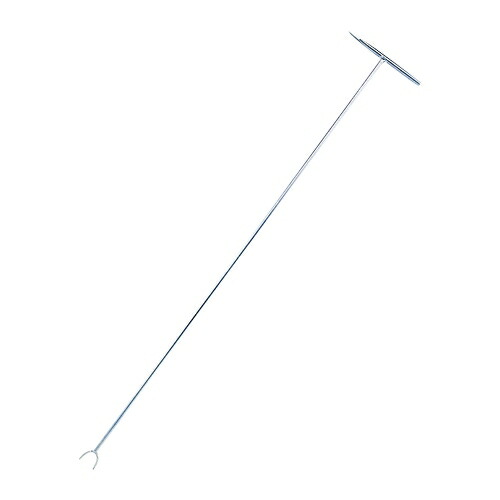 6008.jpg
