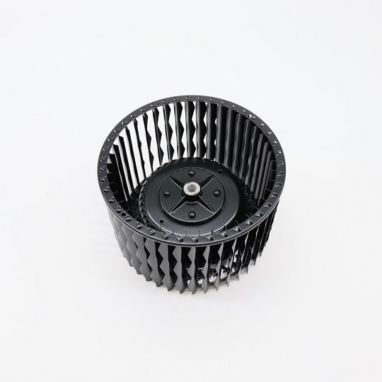619k0033-cf_01.jpg