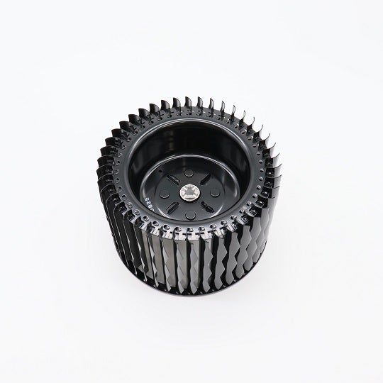 619k0033-cf_02.jpg
