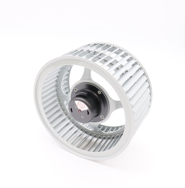 619k0122-cf_01.jpg